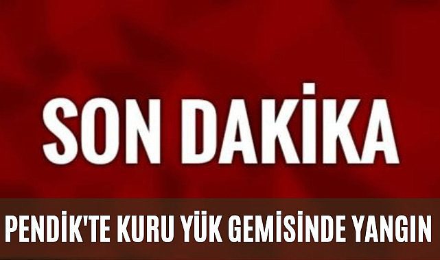 İstanbul Pendik Limanı'nda kuru yük gemisinde yangın