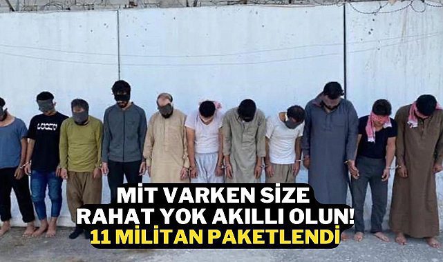 MİT Operasyonu tamamladı, 11 Terörist yakalandı