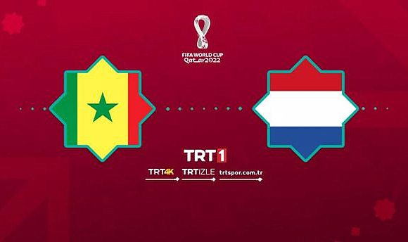 Senegal Hollanda maçı canlı izle! TRT1 Senegal Hollanda dünya kupası maçı canlı izle