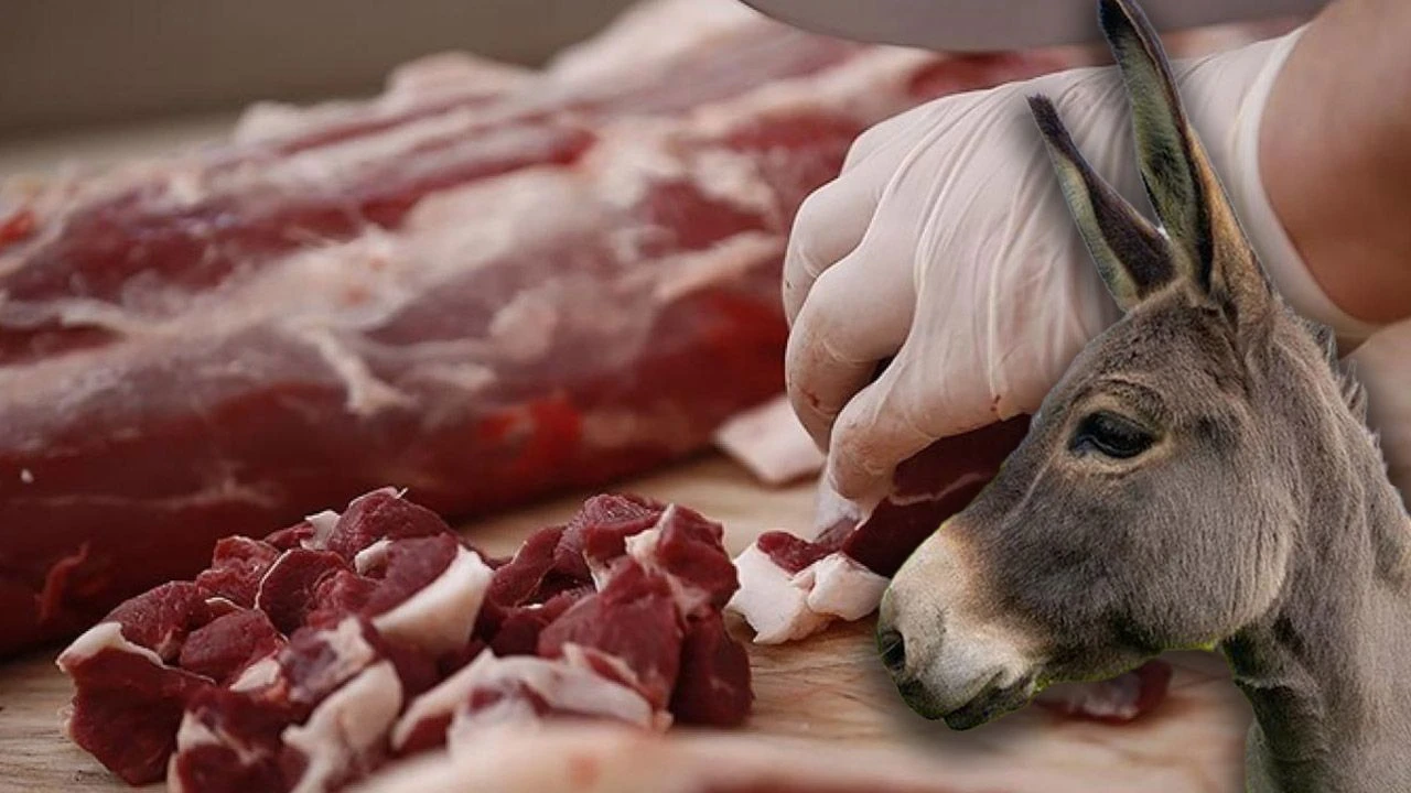 Vicdansızlar millete eşek etlerini yedirdi