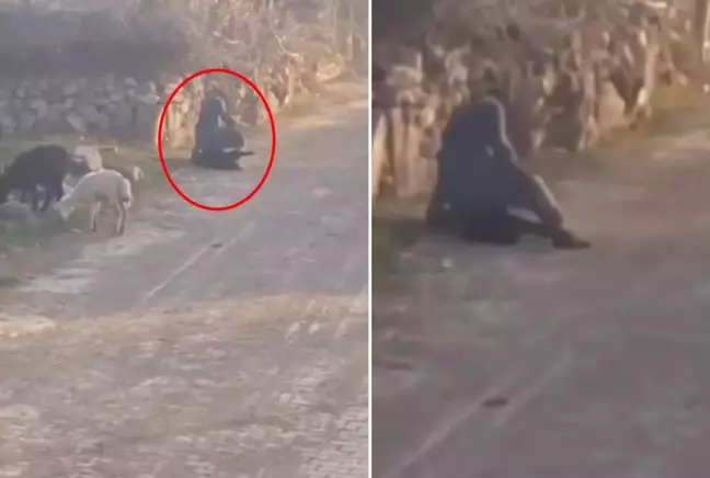 Bunu yapan insan olamaz! Eziyet anları kamerada