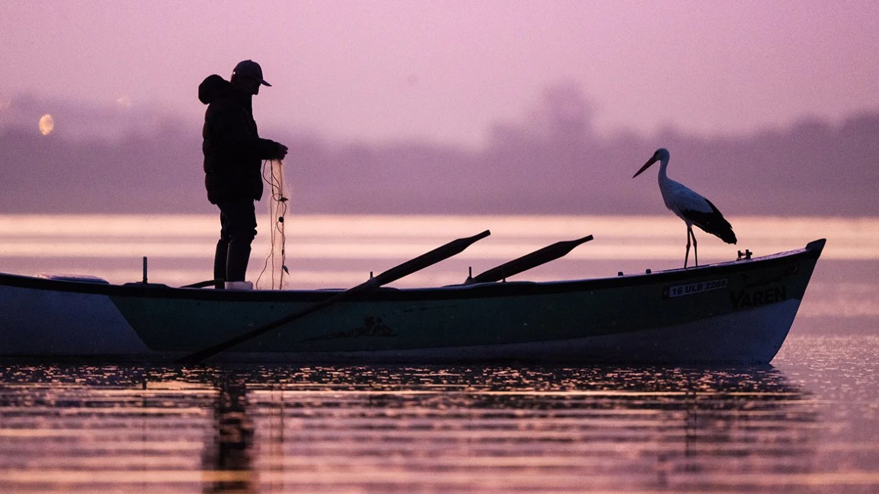Biraz gecikmeyle de olsa... Yaren leylek sonunda geldi