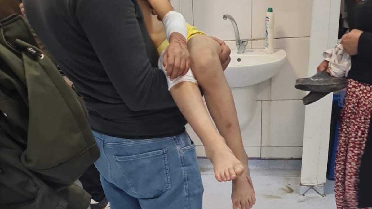 Tam 6 köpek 9 yaşındaki çocuğa saldırdı