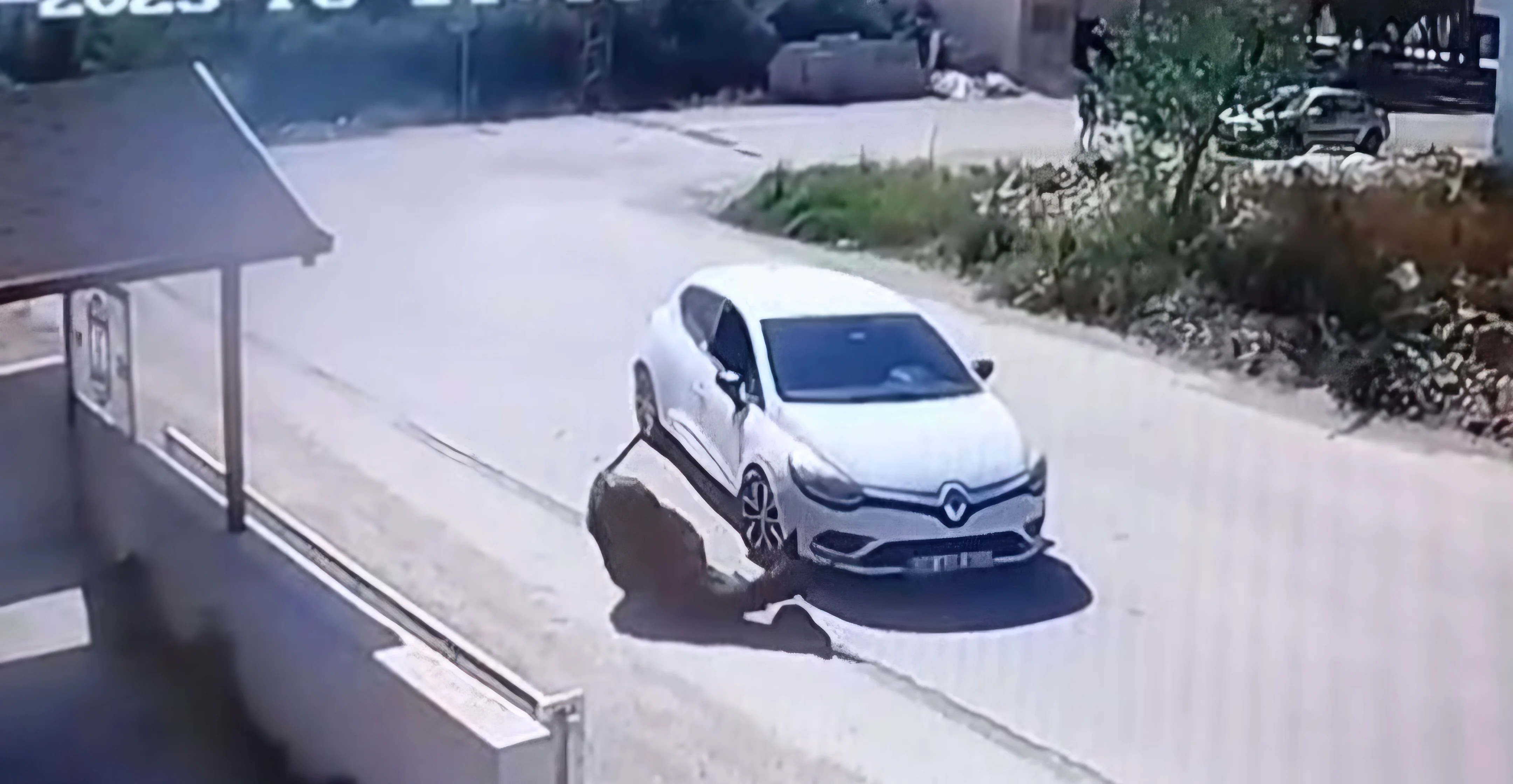 Eşek herif! Savunmasız eşeğe saldıran o adam yakalandı