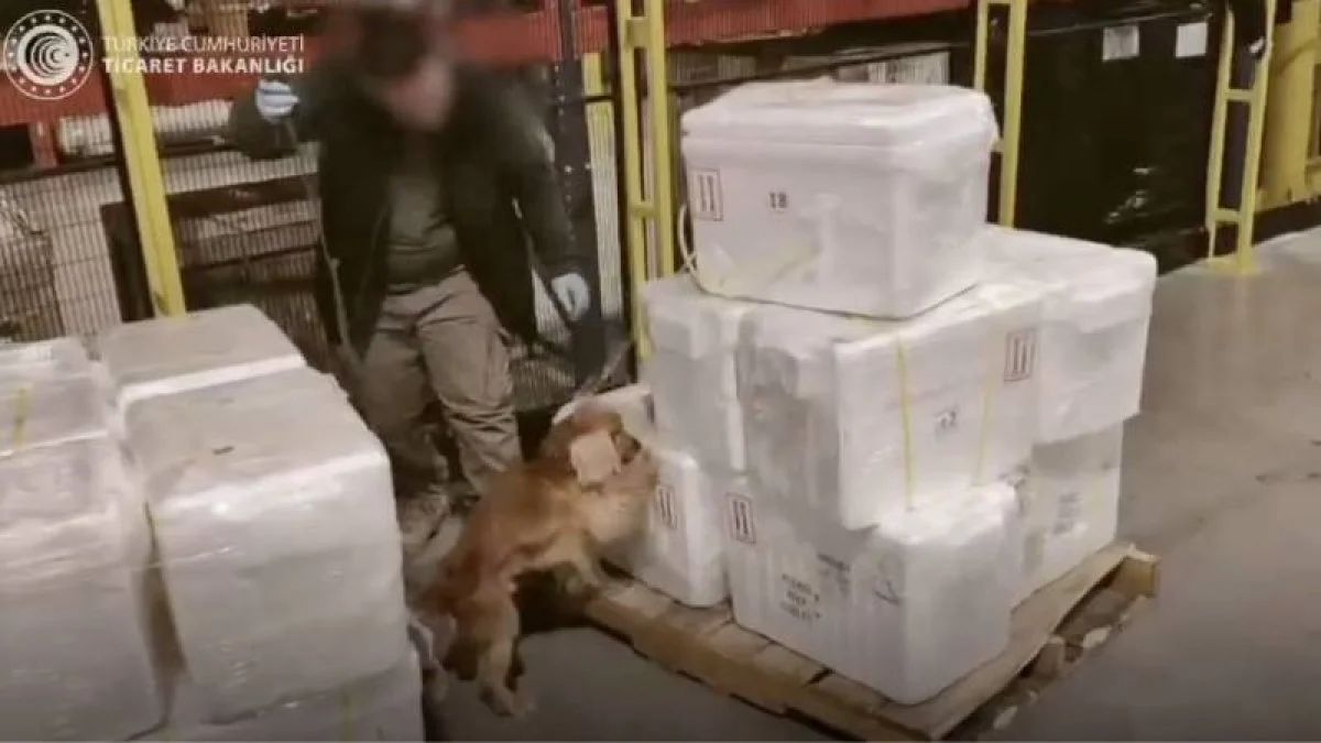 İstanbul Havalimanı&#039;nda yarım ton kokain yakalandı