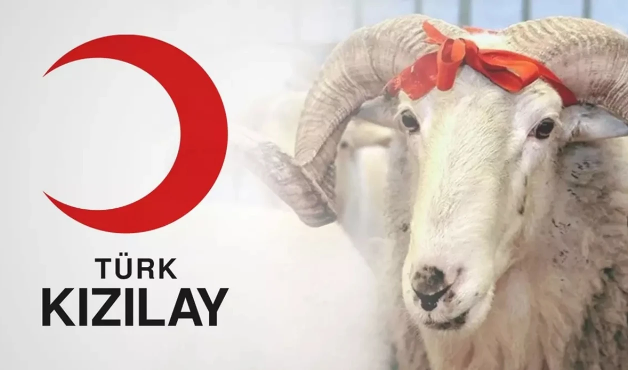 Kızılay 2025 kurban vekalet bedellerini açıkladı: Gazze’ye özel kampanya