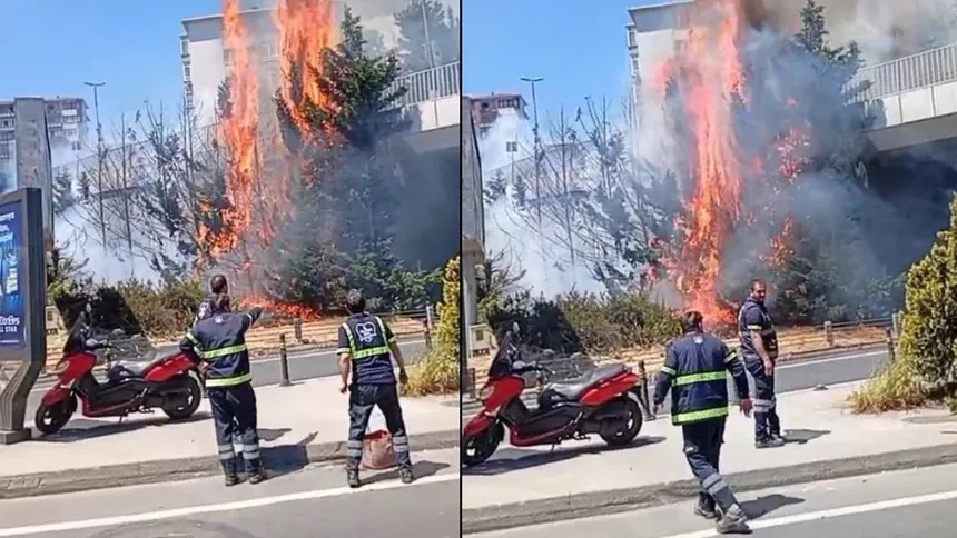 Etiler'de yangın! Sokak alev topuna döndü