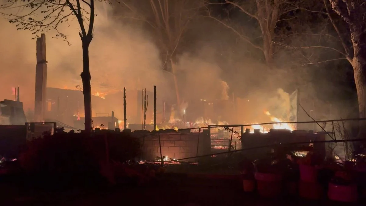 Şile’de yangın! Restoranlar küle döndü