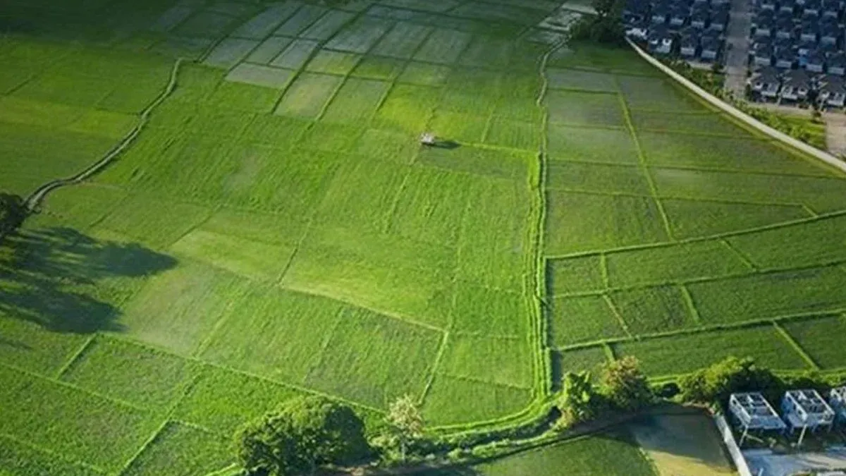 TOKİ’den 41 ilde 310 arsa satışı: Cazip fırsatlar 19-20 Haziran’da
