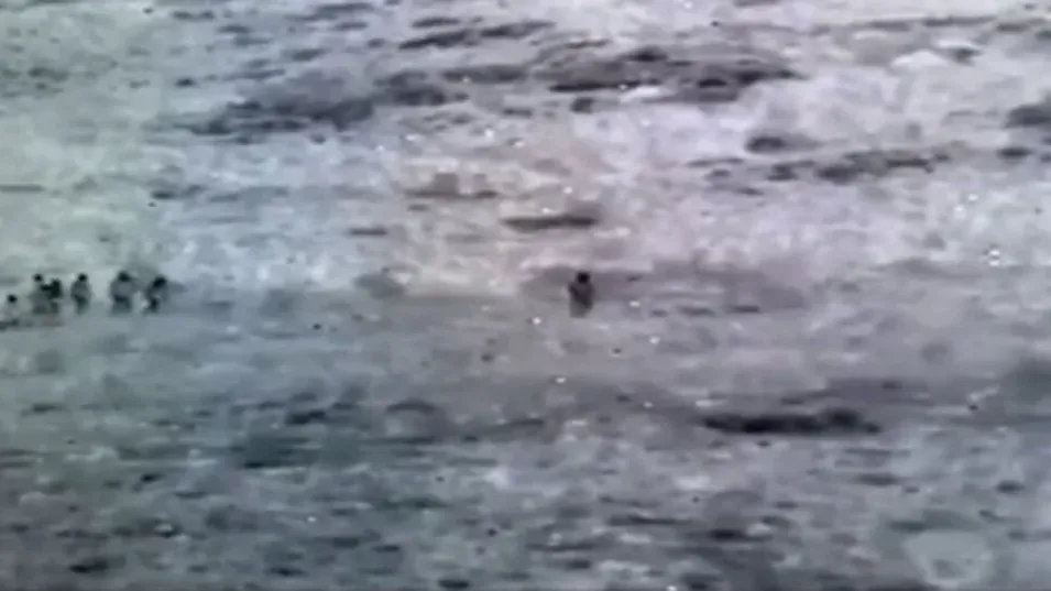 Türkiye-İran sınırında son durum: Bakan Güler bölgede