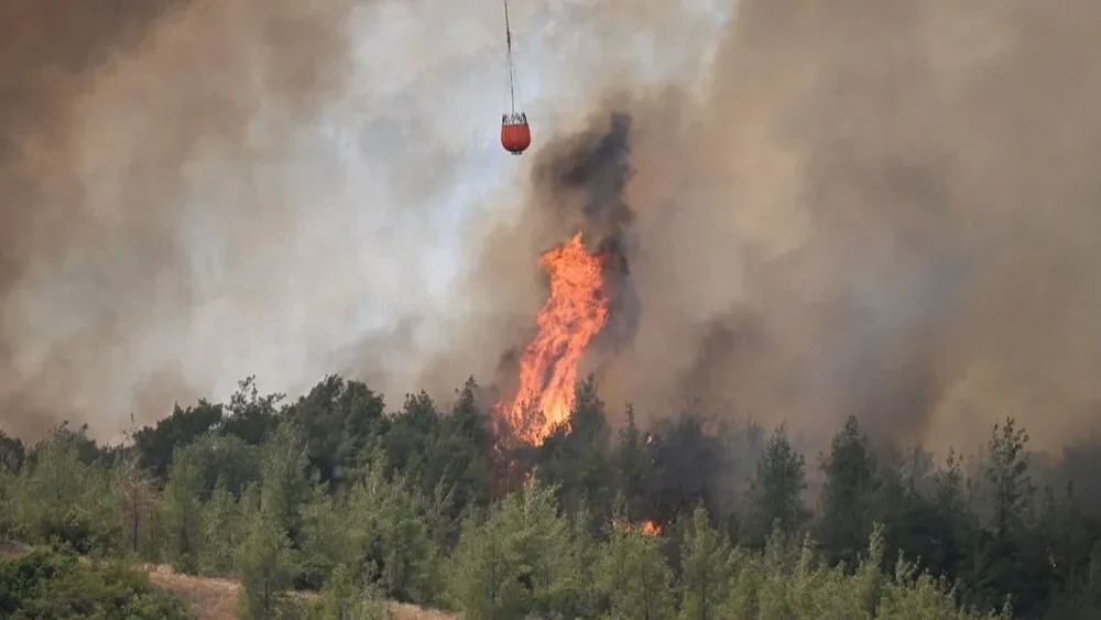 Pilotlar yaralı... Adana&#039;da yangın söndürme uçağı düştü!