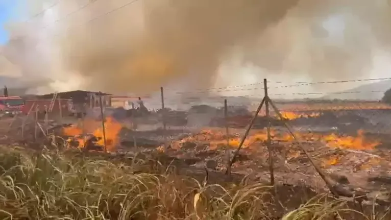 İzmir, Antalya ve Muğla’da orman yangınları: Havadan ve karadan müdahale sürüyor