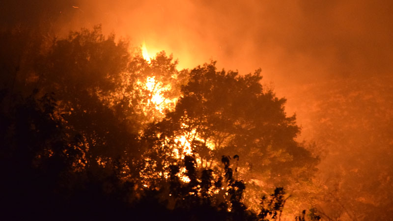 Manisa Akhisar’da orman yangını felaketi! Şüpheli tutuklandı, köyler tahliye edildi
