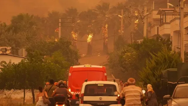 Seferihisar afet bölgesi ilan edildi! Orman yangını sonrası destek planları