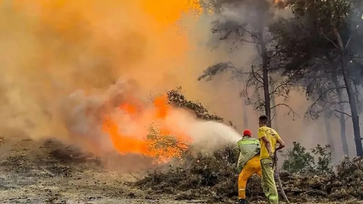 Sevindiren haber! İzmir, Manisa ve Bilecik’te yangınlar kontrol altında…