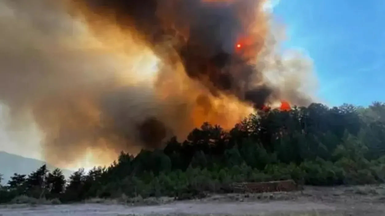 Alevlerle zamana karşı yarış... Sındırgı’da havadan ve karadan müdahale