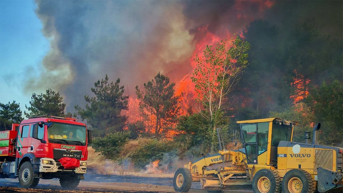 Edirne Keşan&#039;da korkutan orman yangını