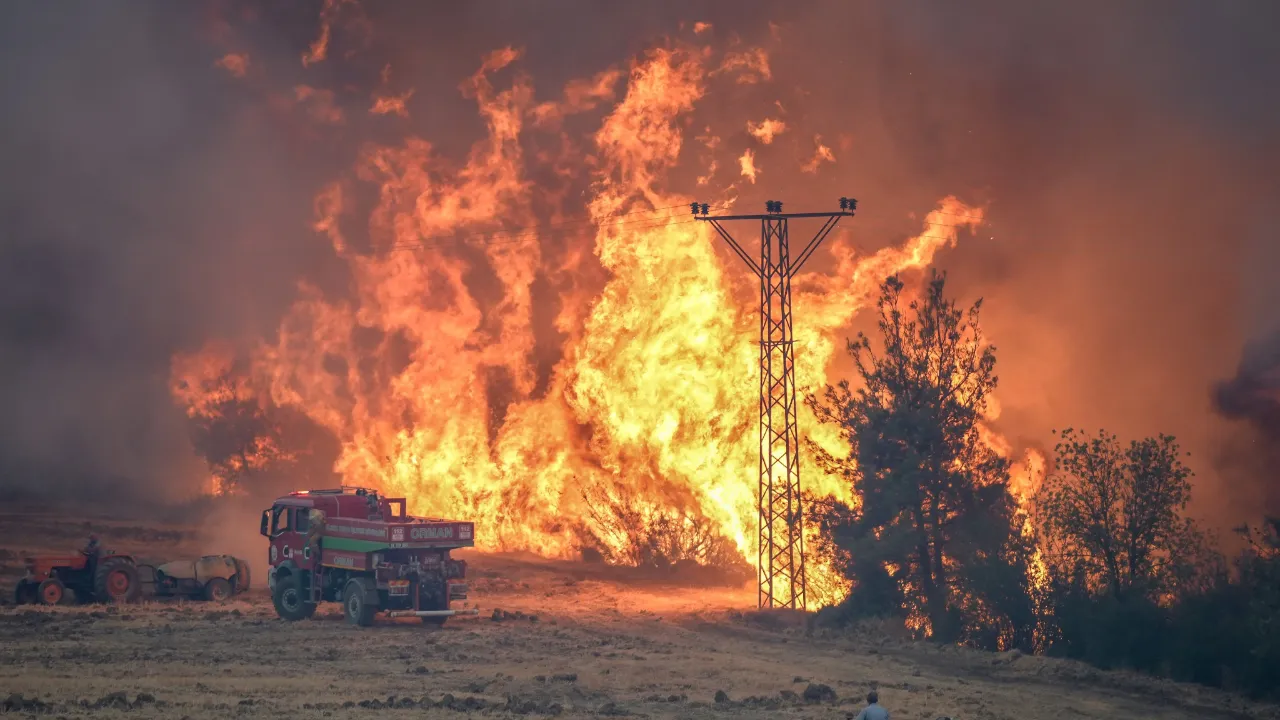 Sakarya ve Bilecik’te orman yangını felaketi... Dumanlar Eskişehir’e ulaştı