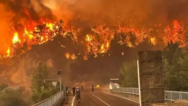 Türkiye kahroldu... Eskişehir orman yangınında 11 şehit