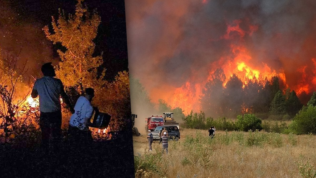 Bilecik ve İzmir afet bölgesi ilan edildi... Yangınların bilançosu ağır
