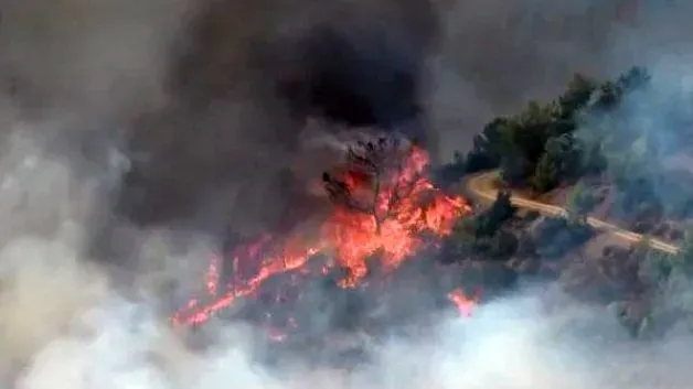 Antalya ve Mersin’de orman yangınları... Tahliyeler sürüyor