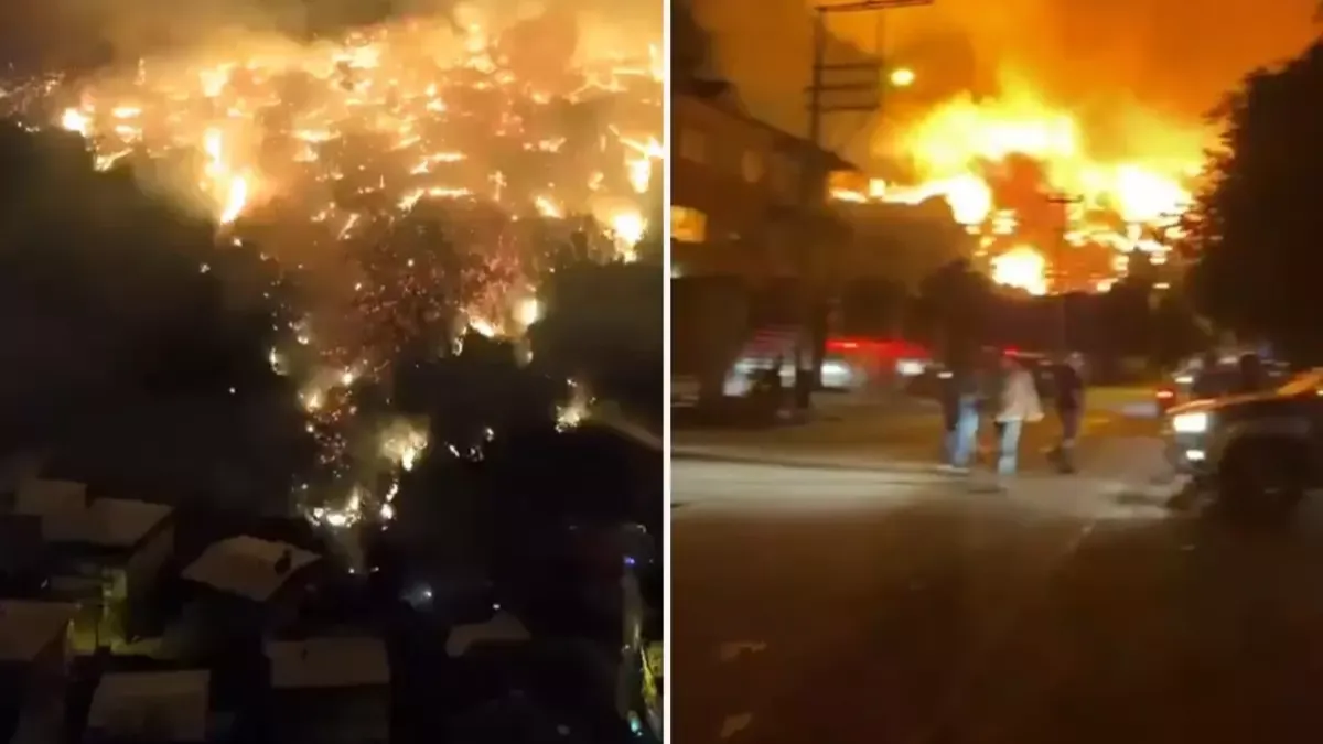 Bursa’da orman yangını felaketi... Alevler yerleşim yerlerine ulaştı