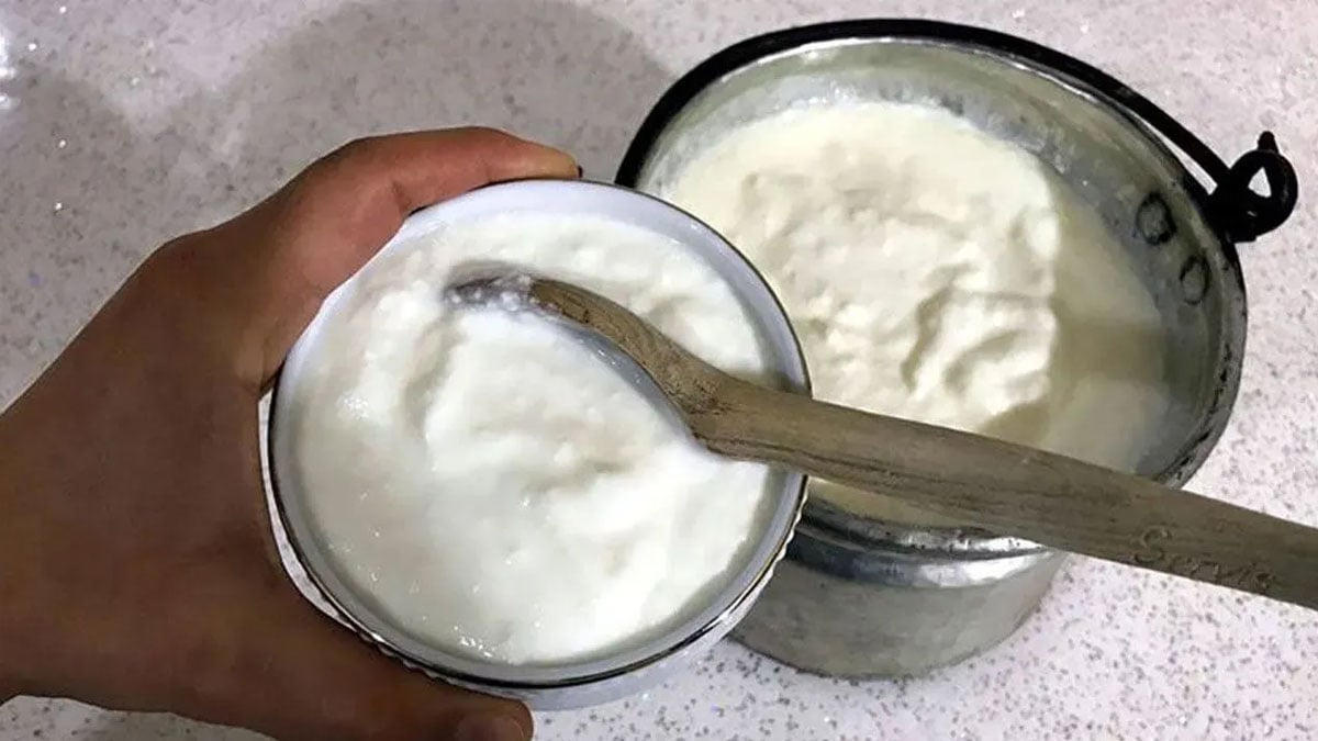 Tarım Bakanlığı yoğurt skandalını ifşa etti