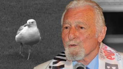 Dolmabahçe'de martı sürprizi ve Seba'nın sözleri