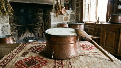 Mayanın ruhunu çağırmak: Yoğurt, hafıza ve Türk mutfağının sessiz bilgeliği....