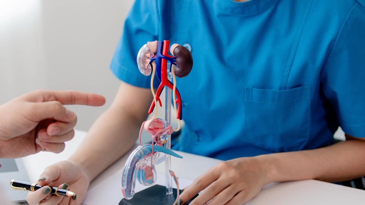 Erkekler neden üroloğa geç gelir?