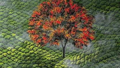 Rosse Arte'nin ilk sergisi "Bu işte bir yalnızlık var" sanatseverlerle buluşuyor!