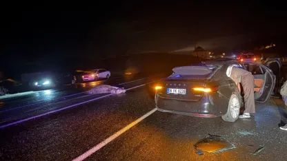 Bingöl'de ata çarpan otomobildeki 4 kişi yaralandı