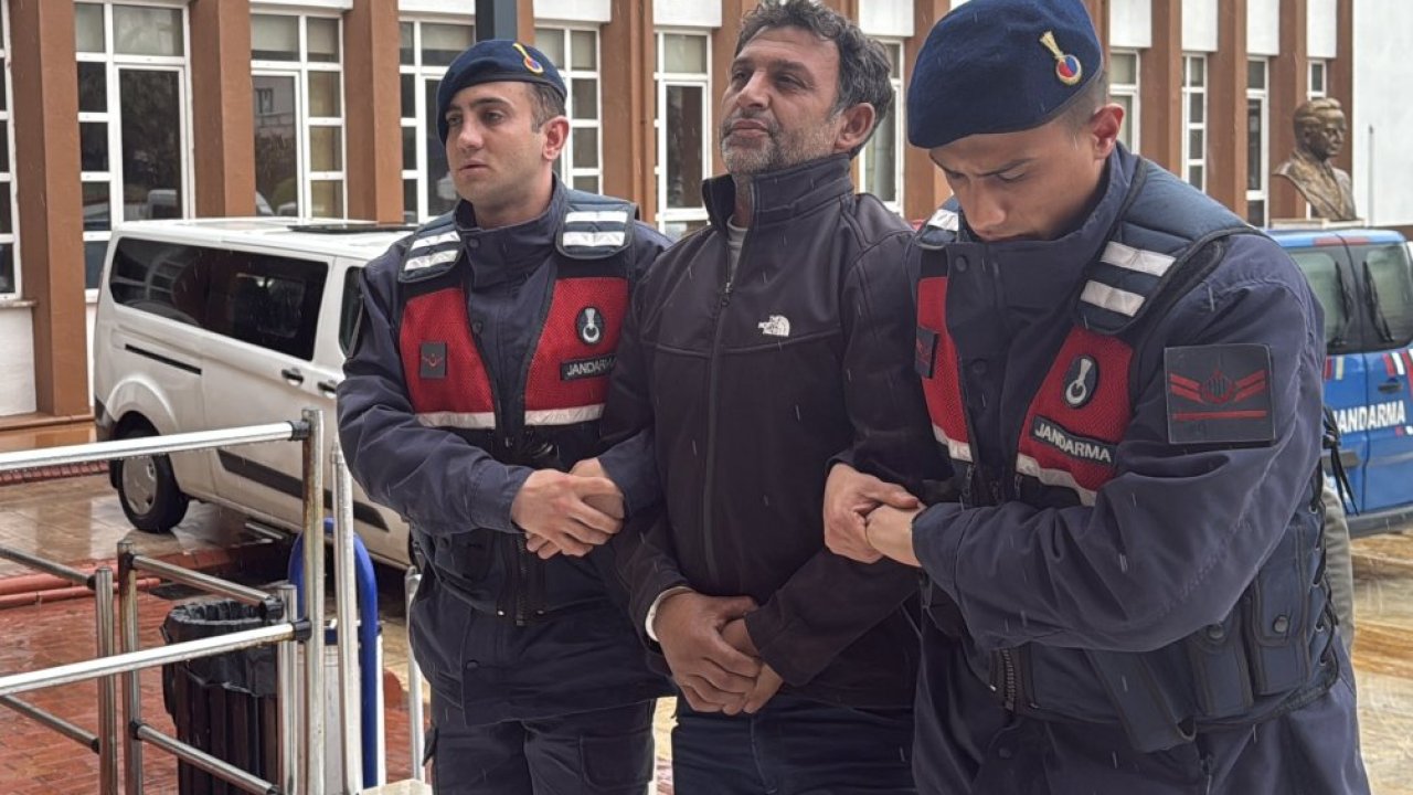 Aydın'da zeytin ve incir ağaçlarını tahrip ettiği belirlenen şüpheli yakalandı