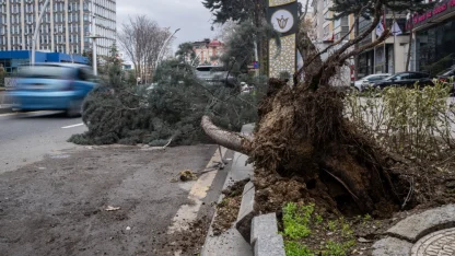 Başkentte üzerine ağaç devrilen otomobilde hasar oluştu