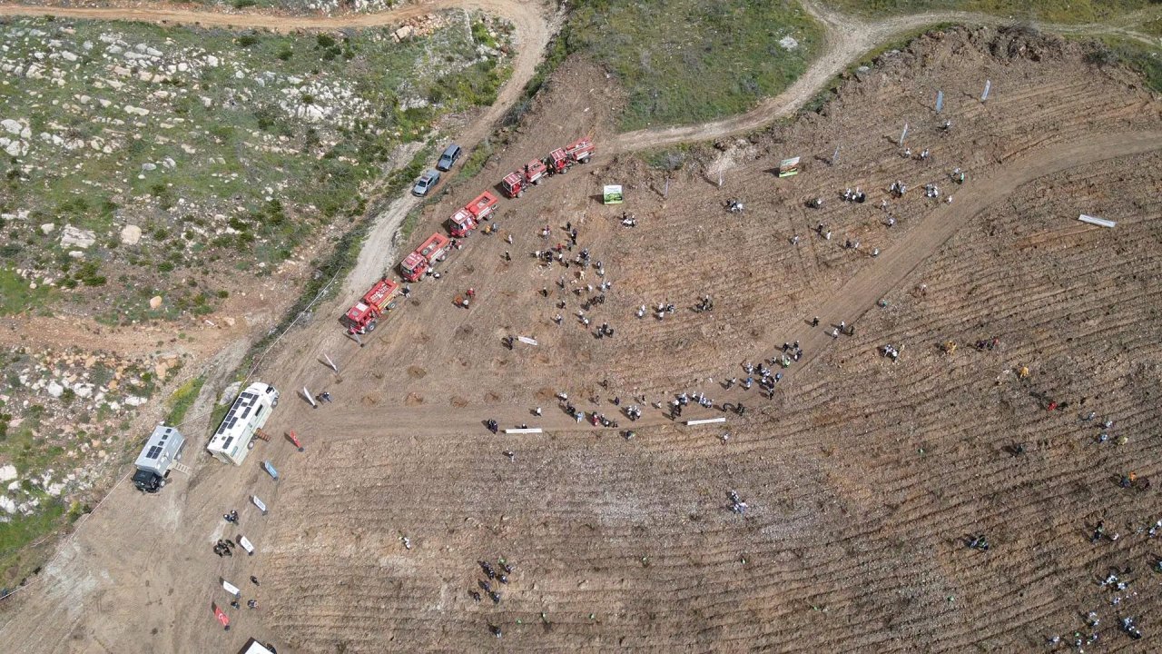 Muğla'da Turnalı sahilindeki yanan ormanlık alan yeniden yeşillendiriliyor