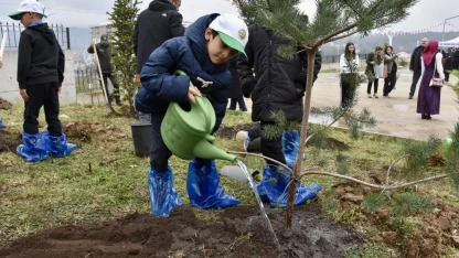Ordu'da Orman Haftası'nda 1500 fidan dikildi
