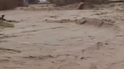 4 Saatlik Yaşam Mücadelesi: Azgın Sularda Dallara Tutunarak Hayatta Kaldı