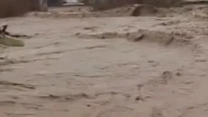 4 Saatlik Yaşam Mücadelesi: Azgın Sularda Dallara Tutunarak Hayatta Kaldı