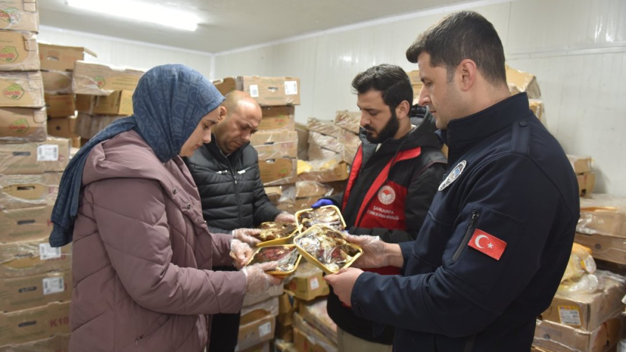 Şanlıurfa'da 50 ton bozuk tavuk eti ele geçirildi