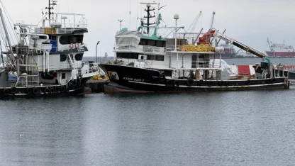 Tekirdağlı balıkçılar sezonu erken kapattı