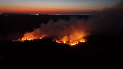 Beykoz'da çıkan orman yangını kontrol altında