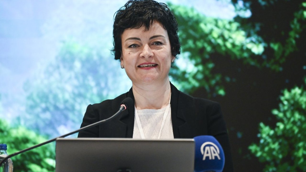 FSC Türkiye, orman ürünleri sektörünü Ankara'da bir araya getirdi