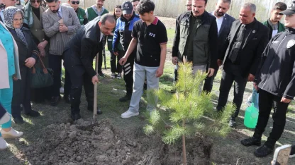 Iğdır Valisi Taşolar, kendisine CİMER'den ulaşan öğrenciyle fidan dikti