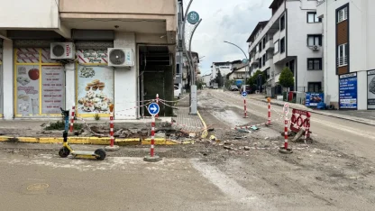 Kocaeli'de kamyonun çarptığı yaya hayatını kaybetti