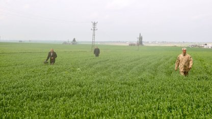 Mardin'de kaybolan 80 yaşındaki kadının bulunması için arama çalışmaları sürüyor