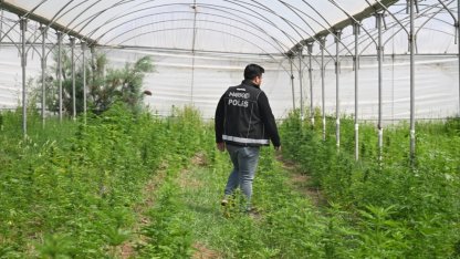 Mersin'de serada uyuşturucu üretimi için kenevir yetiştiren 3 zanlı tutuklandı
