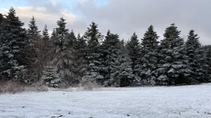 Samsun'da nisan ayında yağan kar doğayı beyaza bürüdü