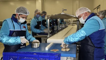 Sinop'ta kurulan tesiste coğrafi işaretli lakerda üretimine başlandı