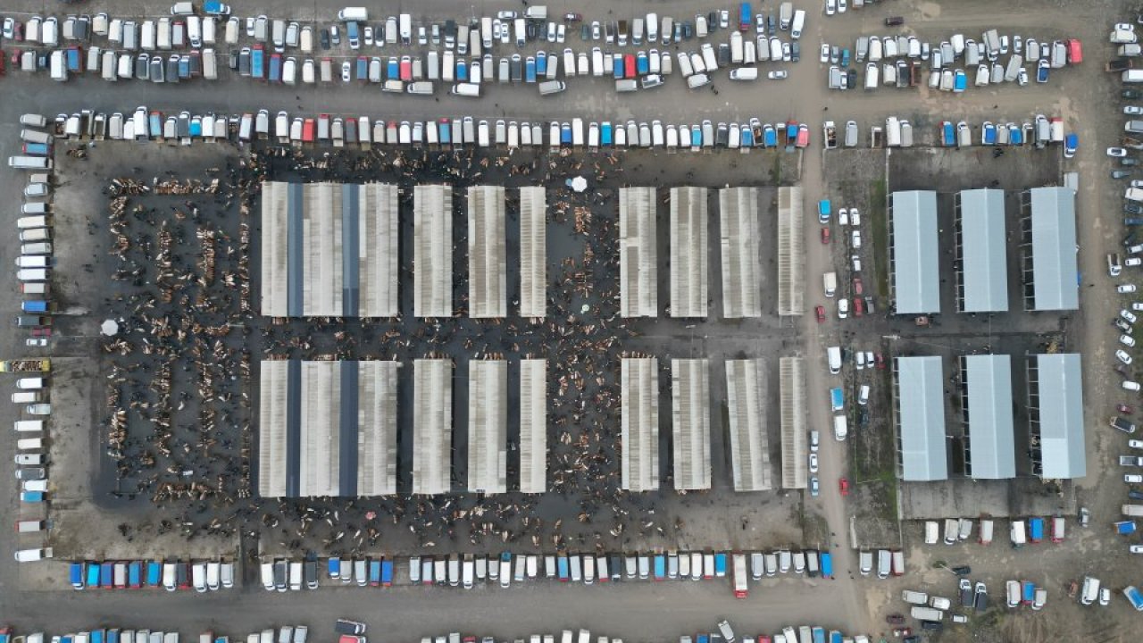 Sivas'taki canlı hayvan pazarında yoğunluk yaşanıyor