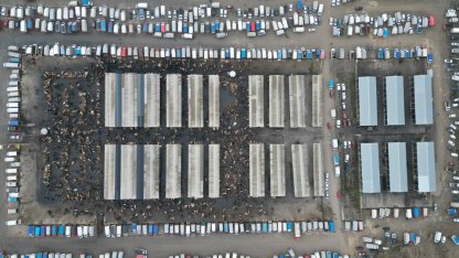 Sivas'taki canlı hayvan pazarında yoğunluk yaşanıyor